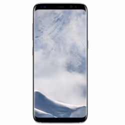 Samsung Galaxy S8 SM-G950F, 14,7 cm (5.8"), 4 Go, 64 Go, 12 MP, Android 7.0, Argent