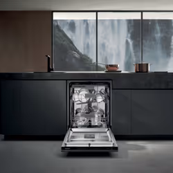 Samsung DW60R7050BB Entièrement intégré 14 couverts D