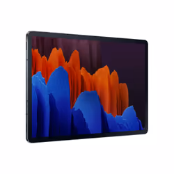 Samsung Galaxy Tab S7+ 8Go 256Go Noir - Vue supplémentaire 5