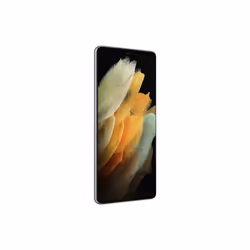 Samsung Galaxy S21 Ultra 5G 12Go 128Go Argent