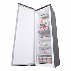 LG GFT41PZGSZ Congélateur vertical Pose libre 324 L E Acier inoxydable - Vue supplémentaire 11