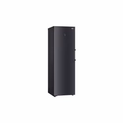 LG GFM61MCCSD congélateur Congélateur vertical Pose libre 324 L D Charbon - Vue supplémentaire 5