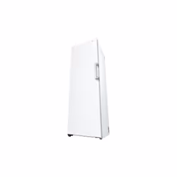 LG GFT61SWCSE congélateur Congélateur vertical Pose libre 324 L E Blanc - Vue supplémentaire 12