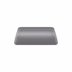 LG DXG5Q, 1-voie, 20 W, Sans fil, USB Type-C, Enceinte portable stéréo, Gris