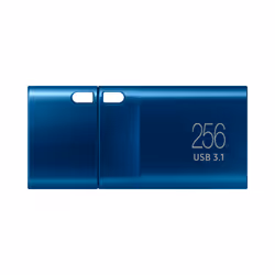 Samsung MUF-256DA lecteur USB flash 256 Go USB Type-C 3.2 Gen 1 (3.1 Gen 1) Bleu - Vue supplémentaire 4