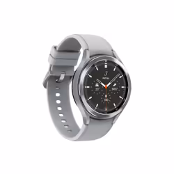 Samsung Galaxy Watch4 Classic 46mm Tactile Argent Wifi GPS (satellite)