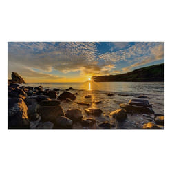 Samsung IF025R Panneau plat de signalisation numérique LED Wifi 2000 cd/m² 4K Ultra HD Noir
