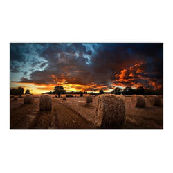 Samsung LH46VMBUBGBXEN mur d'écrans vidéos LCD Intérieure