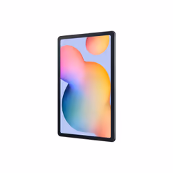 Samsung Galaxy Tab S6 Lite 6 10.4" 4Go 4Go Gris - Vue supplémentaire 6