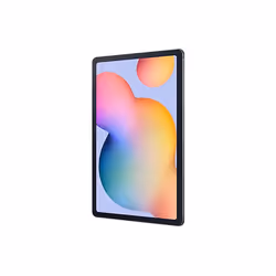 Samsung Galaxy Tab S6 10.4" 4Go 128Go 4G Gris - Vue supplémentaire 6
