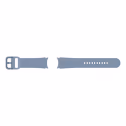 Samsung ET-SFR91LLEGEU pièce et accessoire de montre Bracelet de montre
