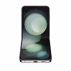 Samsung Galaxy Z Flip5 SM-F731B 8 Go 512 Go Couleur menthe - Vue supplémentaire 6