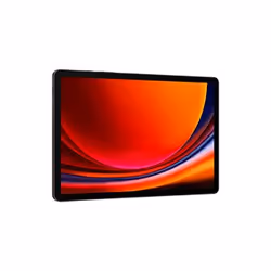 Samsung Galaxy Tab S9 12 8Go 8Go 5G Graphite - Vue supplémentaire 4
