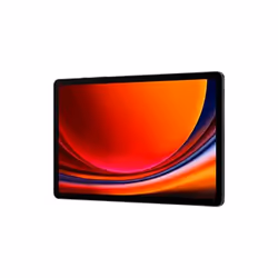 Samsung Galaxy Tab S9 12 8Go 8Go 5G Graphite - Vue supplémentaire 5