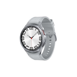 Samsung Galaxy Watch6 Classic Watch6 Classic 47mm Tactile Argent Wifi GPS (satellite)