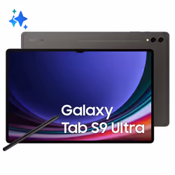 Samsung Galaxy Tab S9 Ultra SM-X910N, 37,1 cm (14.6"), 2960 x 1848 pixels, 256 Go, 12 Go, Android 13, Graphite