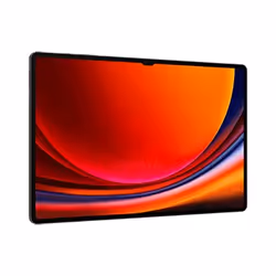Samsung Galaxy Tab S9 Ultra 12Go 256Go Graphite - Vue supplémentaire 4