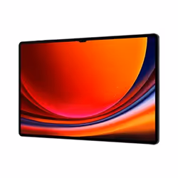 Samsung Galaxy Tab S9 Ultra 12Go 256Go Graphite - Vue supplémentaire 5