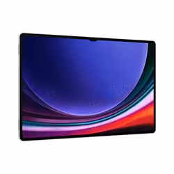 Samsung Galaxy Tab S9 Ultra 5 12Go 12Go 5G Beige - Vue supplémentaire 4