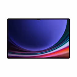 Samsung Galaxy Tab S9 Ultra 5G 256Go 12Go Beige