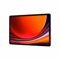 Samsung Galaxy Tab S9+ 12Go 256Go 5G Graphite - Vue supplémentaire 5