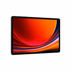 Samsung Galaxy Tab S9+ 12Go 256Go Graphite - Vue supplémentaire 4