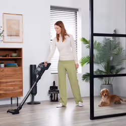 Samsung VS20B95B43N aspirateur de table Noir, Argent Sans sac