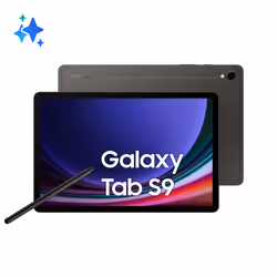 Samsung Galaxy Tab S9 SM-X716B, 27,9 cm (11"), 2560 x 1600 pixels, 256 Go, 12 Go, Android 13, Graphite