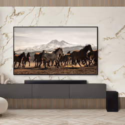 Samsung HW-B750D Noir 5.1 canaux