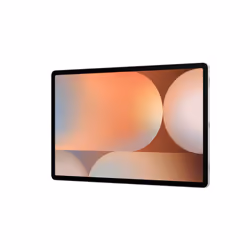 Samsung Galaxy Tab S10+ 12.4" 12Go 256Go Wi-Fi 6E 5G Argent - Vue supplémentaire 5