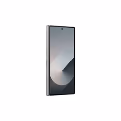 Samsung Galaxy Z Fold6 5G 12Go 1To Argent