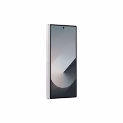 Samsung Galaxy Z Fold6 (Couleurs exclusives)