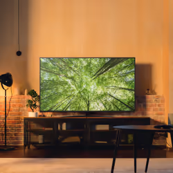 LG NanoCell AI 43NANO81A6A 43" 4K Ultra HD Smart TV Noir - Vue supplémentaire 2