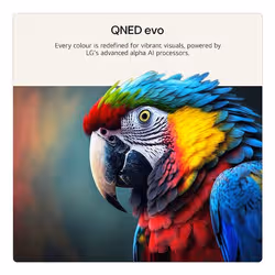 LG QNED evo AI 50QNED87B6A 127 cm (50") 4K Ultra HD Smart TV Wifi Noir - Vue supplémentaire 6