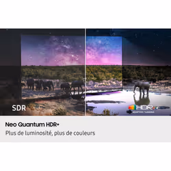 Samsung QN90F TV AI Neo QLED 85" 2025, 4K, Mini LED sans reflet - Vue supplémentaire 8