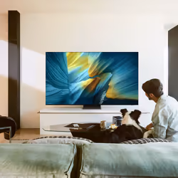 Samsung QE55S95FATXZT TV 55" 4K Ultra HD Smart TV Noir - Vue supplémentaire 5