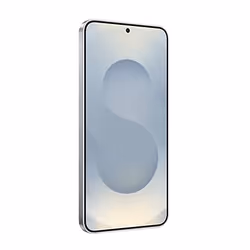 Samsung Galaxy S25 Enterprise Edition 12 Go 256 Go Argent - Vue supplémentaire 6