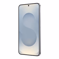 Samsung Galaxy S25 SM-S931B/DS 12 Go 256 Go Argent - Vue supplémentaire 7