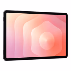 Samsung Galaxy Tab S11 Enterprise Edition 12Go 128Go Wi-Fi 6E 5G Gris - Vue supplémentaire 4