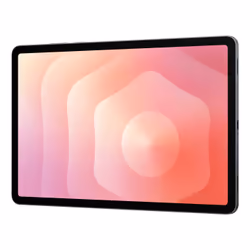 Samsung Galaxy Tab S11 Enterprise Edition 12Go 128Go Wi-Fi 6E 5G Gris - Vue supplémentaire 5