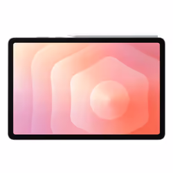 Samsung Galaxy Tab S11 Enterprise Edition 12Go 128Go Wi-Fi 6E 5G Gris - Vue supplémentaire 8