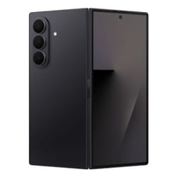 Samsung SM-F966BZKBEEB 12 Go 256 Go Noir