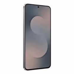 Samsung Galaxy S25 FE Enterprise Edition 8 Go 128 Go Noir - Vue supplémentaire 4