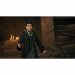 Warner Bros. Games Hogwarts Legacy Standard Anglais Xbox Series X/Series S