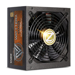 Zalman ZM1000-EBTII unité d'alimentation d'énergie 1000 W 24-pin ATX ATX Noir