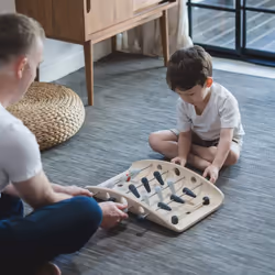 PlanToys Soccer
