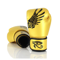Gants De Boxe En Cuir Véritable Fairtex Bgv1 Falcon 12 Oz