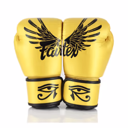 Gants De Boxe En Cuir Véritable Fairtex Bgv1 Falcon 12 Oz - Vue supplémentaire 2