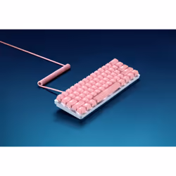 Razer RC21-01491000-R3M1 interrupteur à clé Rose 120 pièce(s)