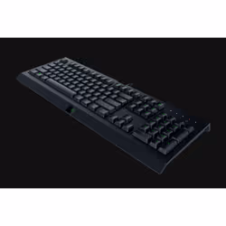 Razer Cynosa Lite clavier USB QWERTY Italien Noir